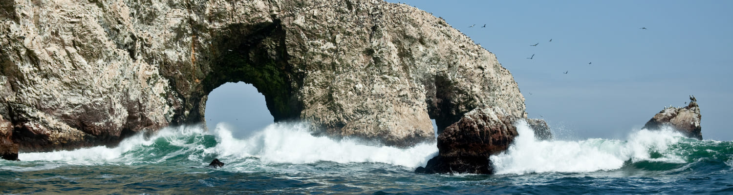 Imagen de presentación